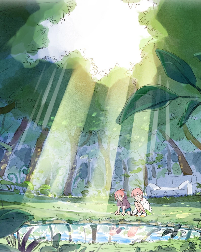 Страна Номо постер