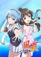 Постер Фука